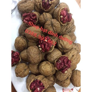 500g óc chó đỏ mỹ - kiwikiwi