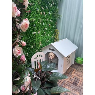 Nhà cho chó lớn sz XL (10-20kg), gỗ plywood cao cấp chống nước