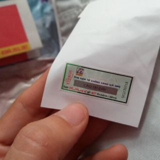 Combo vỏ và ruột gối trẻ em cao cấp (có tem điện tử)
