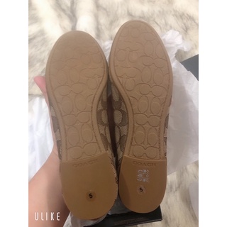 Giày búp bê nữ hiệu Coach sz 5