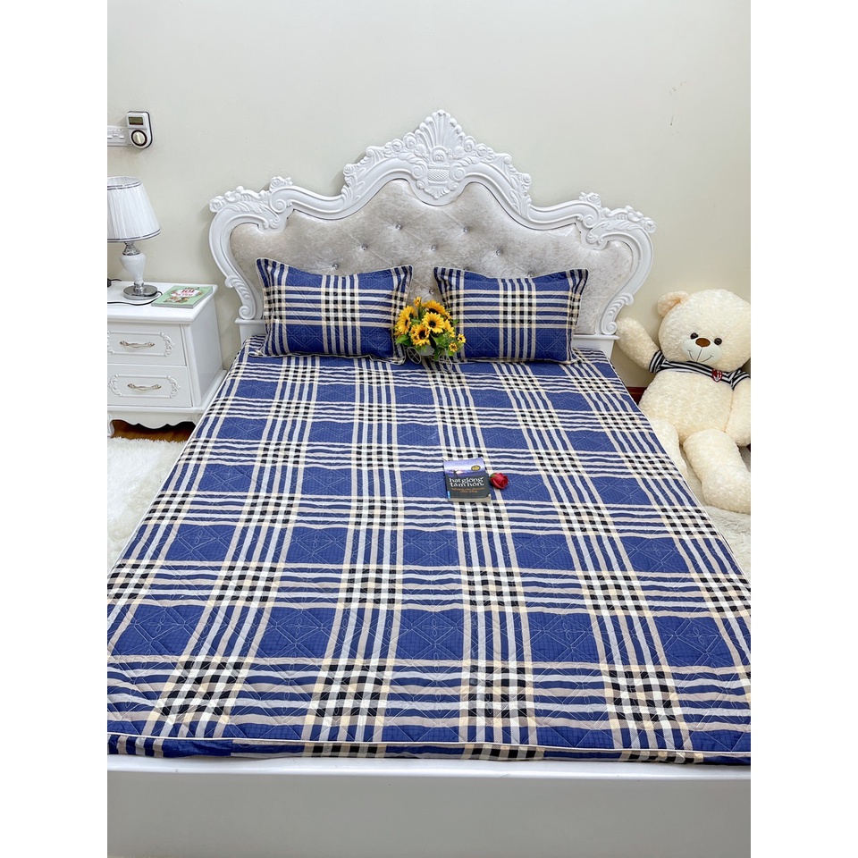 [Xả rẻ vô địch] Bộ 3 món ga gối poly chun trần bông cao cấp siêu êm siêu ấm - KT: m6, m8