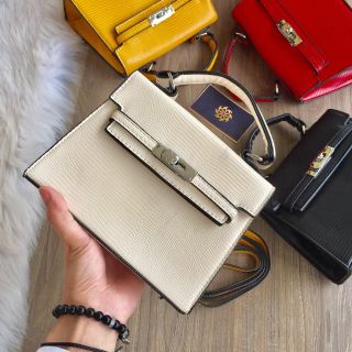 HM da kỳ nhông size 22, quảng châu