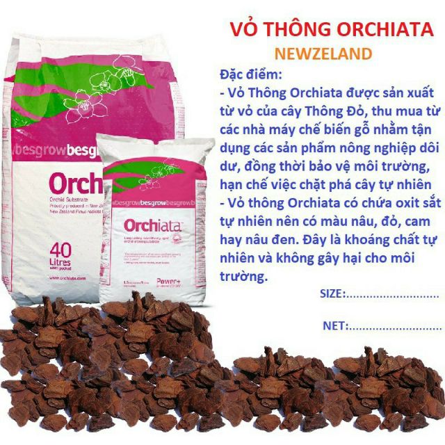 ( Sỉ lẻ ) Vỏ thông New Zealand Orchiata thiết bị nhà vườn,rẻ đẹp