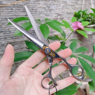 Bộ kéo cắt tóc JASON Đá xanh 6.0 inch
