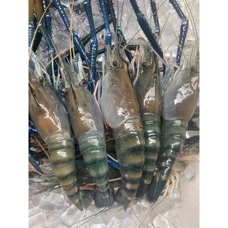 Ship hoả tốc hcm-1kg tôm càng xanh bến tre