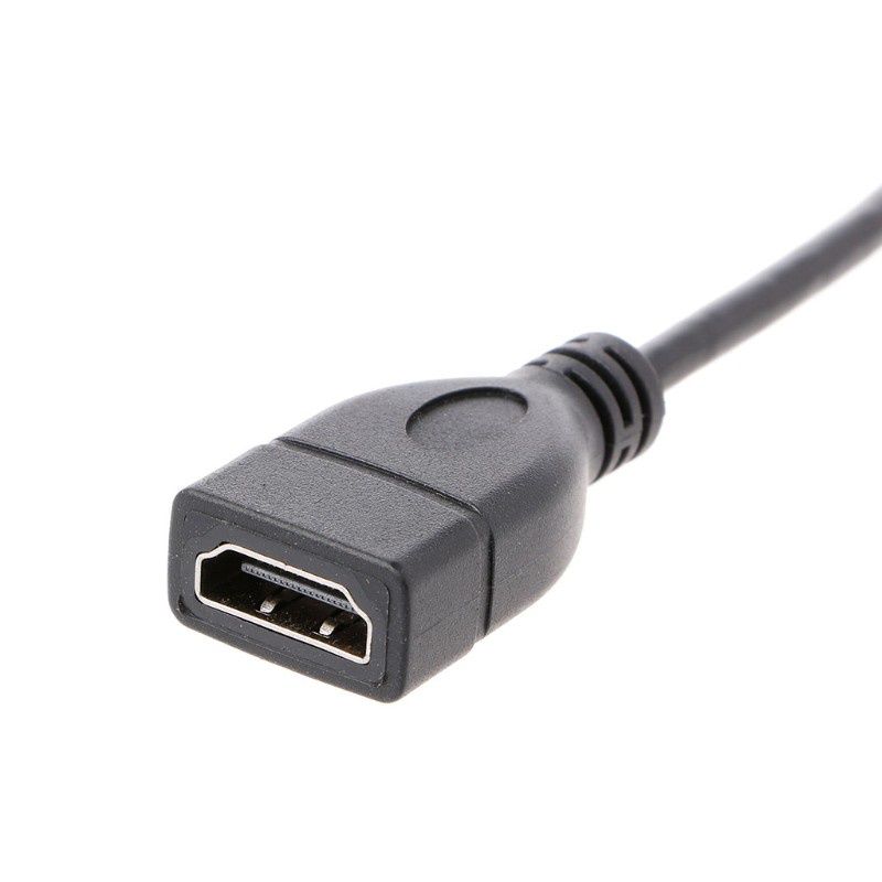 1 Dây Cáp Chuyển Đổi Cổng Micro Hdmi Type D Sang Hdmi Type A 16cm 6 Inch