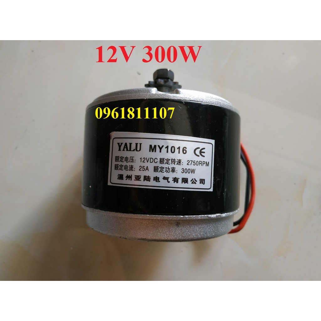 Motor 12V 250W MY1016