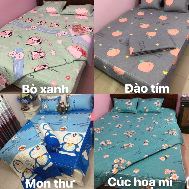 Set Ga phủ trần bông full, chất liệu cotton poly dày dặn | BigBuy360 - bigbuy360.vn