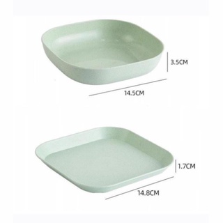 Set 8 dĩa lúa mạch vuông nhiều màu