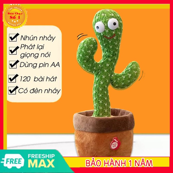 Xương rồng nhảy múa, lắc lư, vui nhộn, uốn éo, biết hát