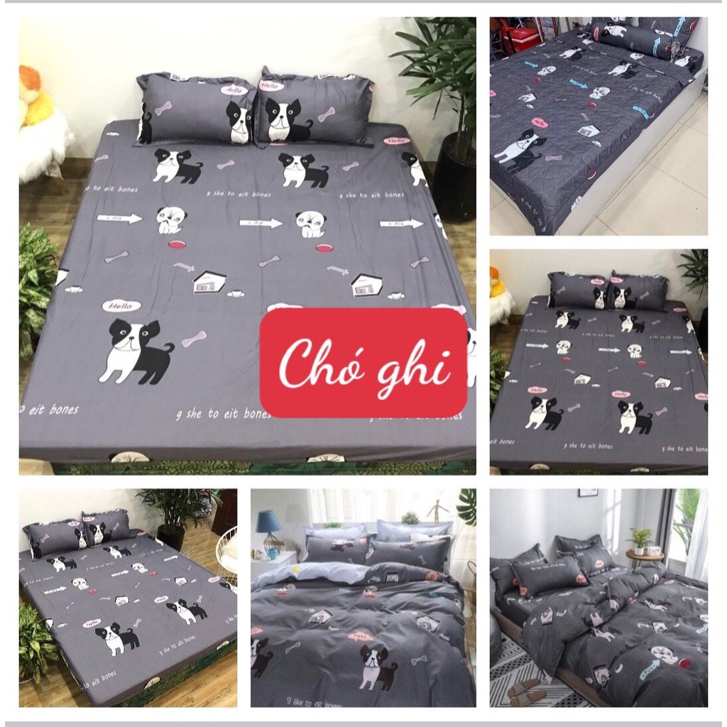 Ga Coton poly chun bọc đệm, drap trải giường kích thước 1m,1m2
