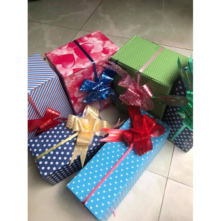 Combo 6 hộp quà trang trí gốc thông cây đủ size