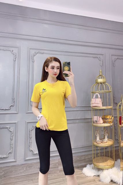 Áo THUN THÁI thêu form rộng TL (bao chất đẹp)