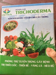 Nấm đối kháng trộn đất trồng hoa