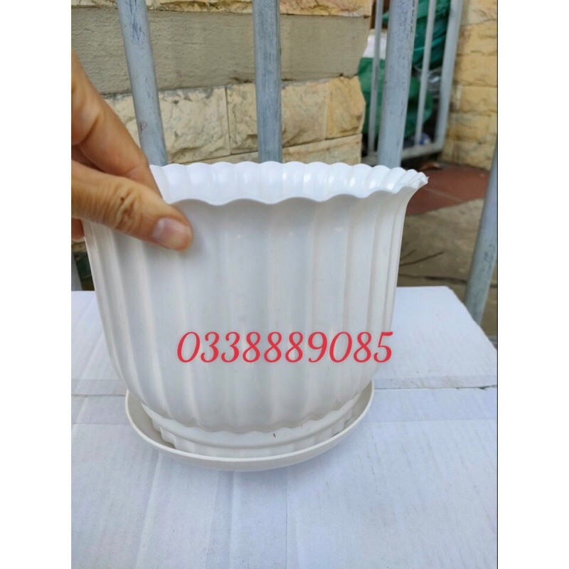 Chậu nhựa sọc tròn  kèm đĩa, trồng cây siêu đẹp