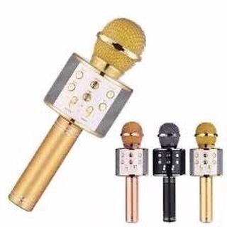 Micro hát Karaoke Kèm Loa WS-858