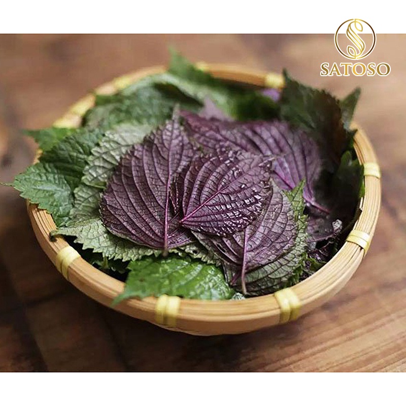 Cây tía tô khô thượng hạng thanh lọc cơ thể SATOSO 1kg SA50