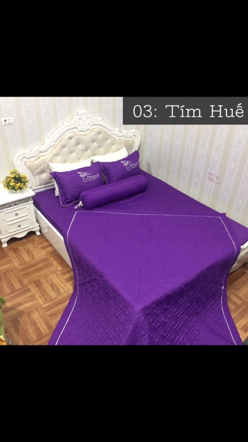Bộ ga chun chăn hè poly