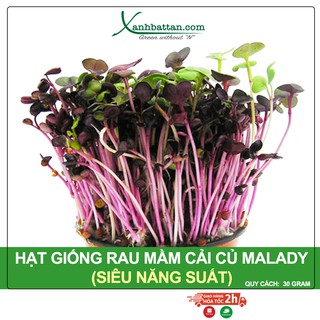 Hạt Giống Mầm Củ Cải Malady Phú Nông Gói 30 Gram