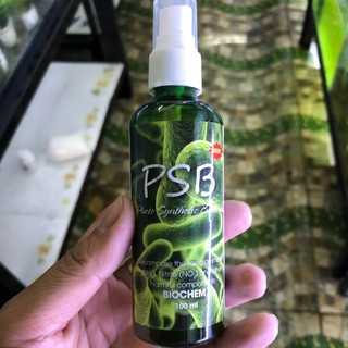 Psb xanh vi sinh cho hồ cá cảnh