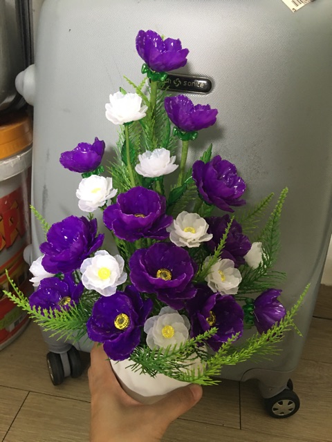 Cánh bắp cải size vừa