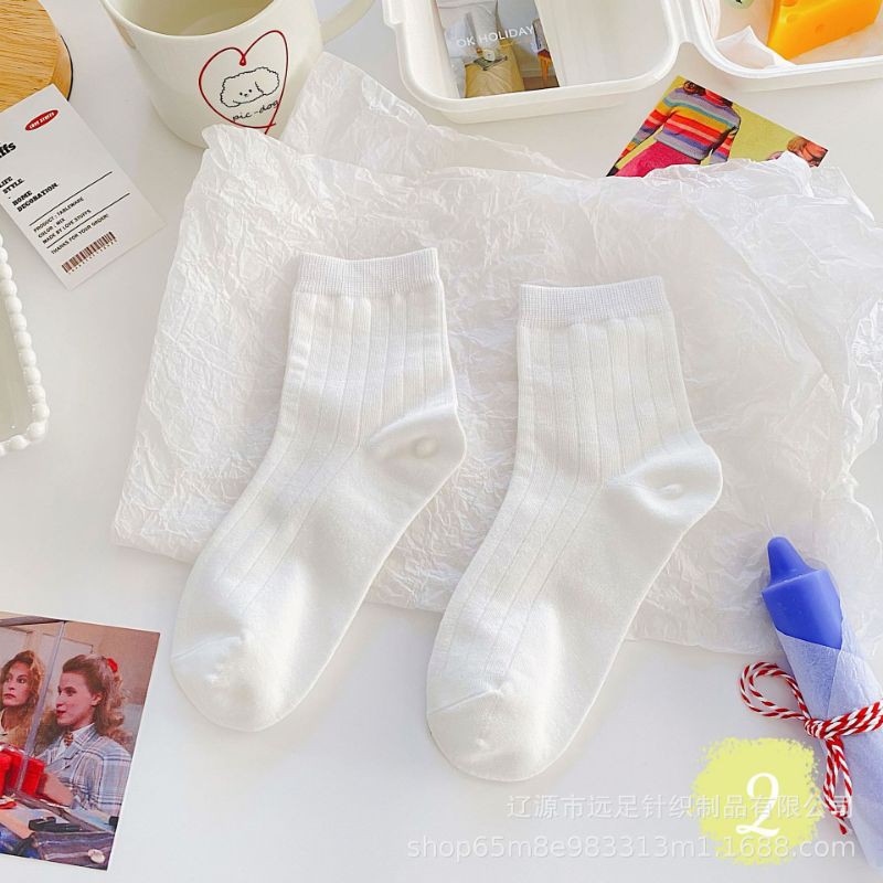 Sẵn - Set 6 đôi vớ cotton co giãn đủ màu