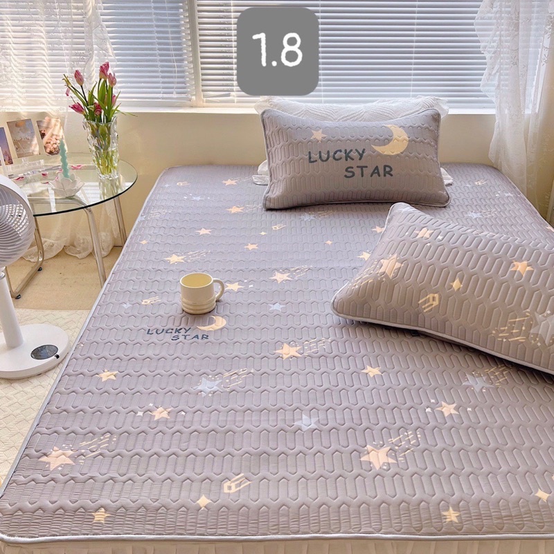 Chiếu điều hoà cao su non 5D Latex loại 1 (tặng kèm 2 vỏ gối cùng bộ )
