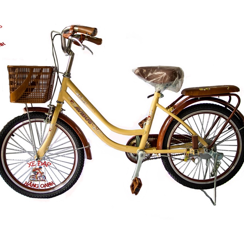Xe đạp Nữ Amida cao cấp cỡ 20inch