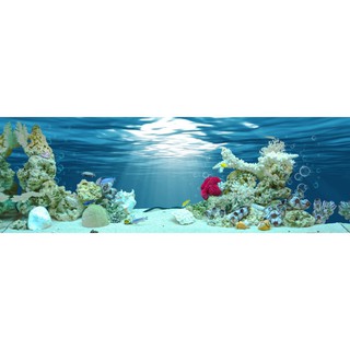 Tranh phông nền 3D Minh Trí dán hồ cá Aqua_040