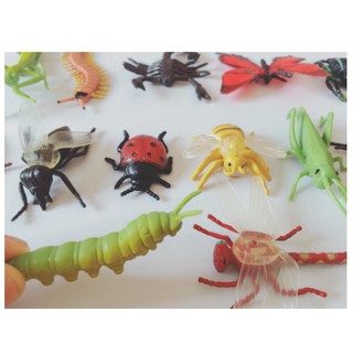 Đồ chơi - Mô hình Côn Trùng Safari