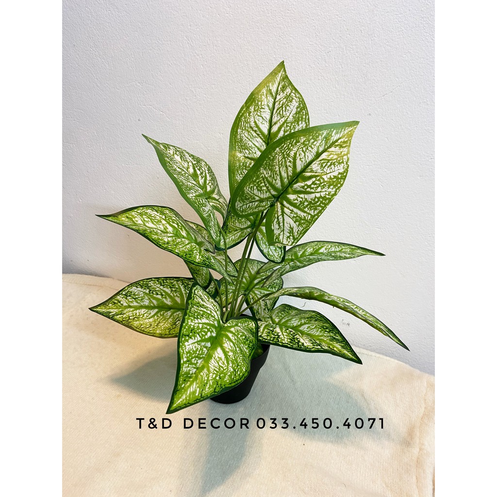 Cây giả decor- Cây lá môn viền xanh 30cm