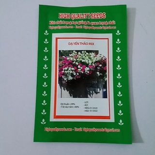 Hạt Giống Dạ Yến Thảo Mix