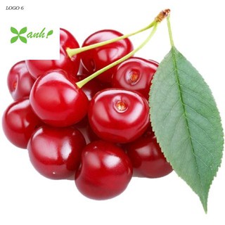 Hạt giống Anh đào (Cherry) (10 hạt)