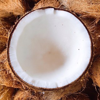Combo 3 Trái Dừa Khô Đê Làm Bánh