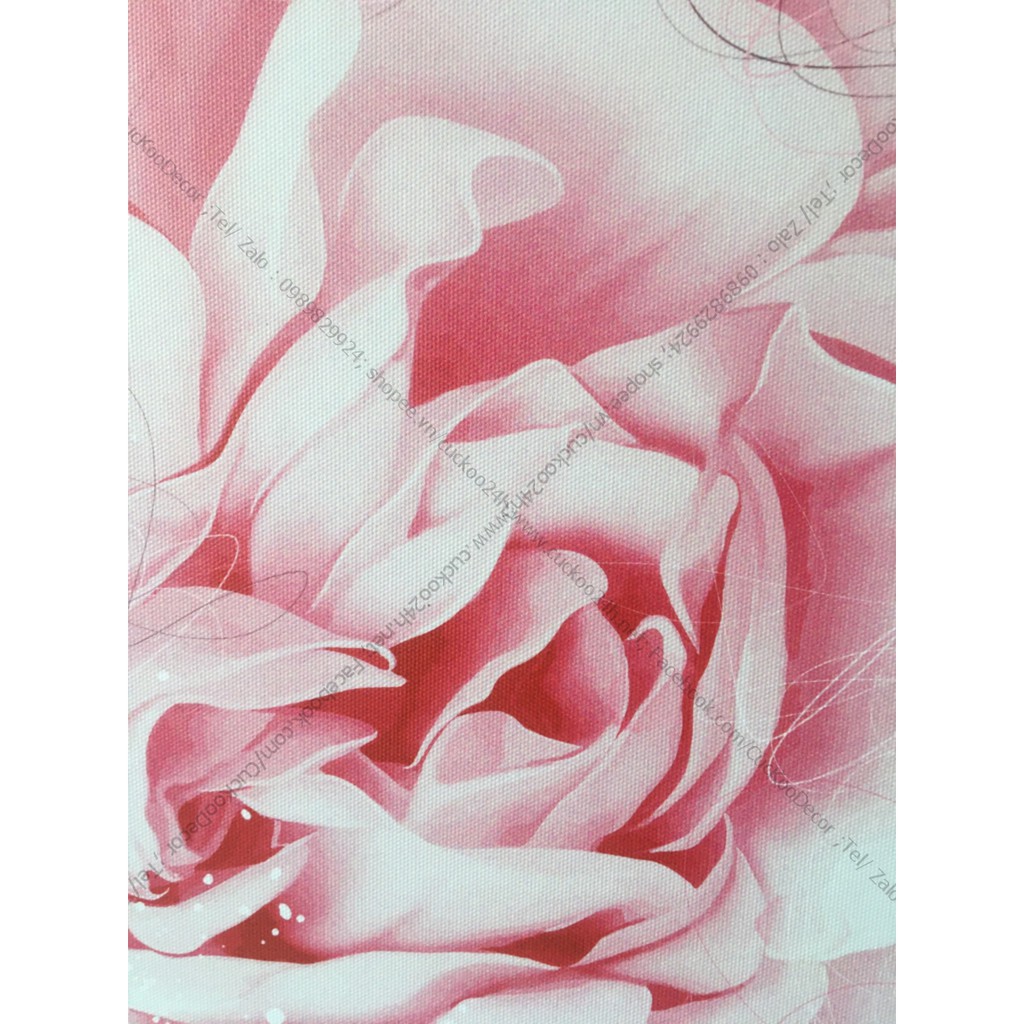 Tranh Hoa Mẫu Đơn , tranh in vải canvas kích thước 60x60cm