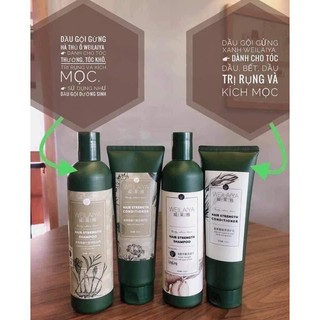Bộ Dầu Gội Xả Weilaiya (Tặng Kèm Set Mini)