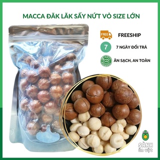 Hạt Macca Sấy Nứt Vỏ Tây Nguyên (Mắc Ca Daklak) - Hạt to đồng đều - Tặng kèm đồ tách vỏ - 500 Gram