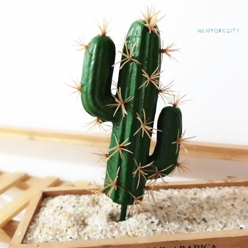 1 Cây Xương Rồng Bằng Xốp Dùng Trang Trí
