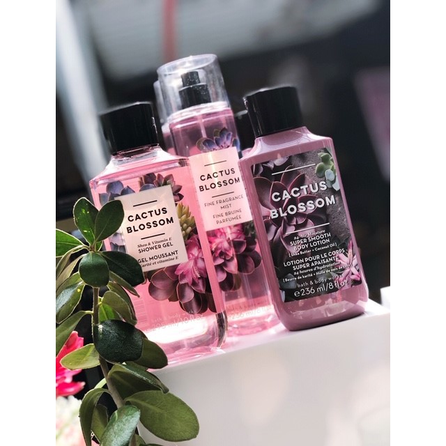 Xịt toàn thân Body Mist Bath & Body Works - Cactus Blossom 30ml/50ml/100ml -ᴍɪɴᴍɪɴsʜᴏᴘ1990-
