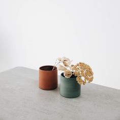 ardania.olshop.vn