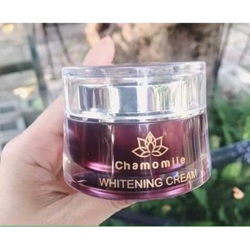 Kem Tím chamomileskill
