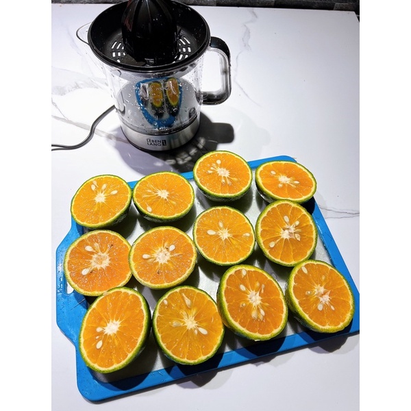 💥 MÁY VẮT NƯỚC CAM LEBENLANG LB389 💥BH 24 tháng