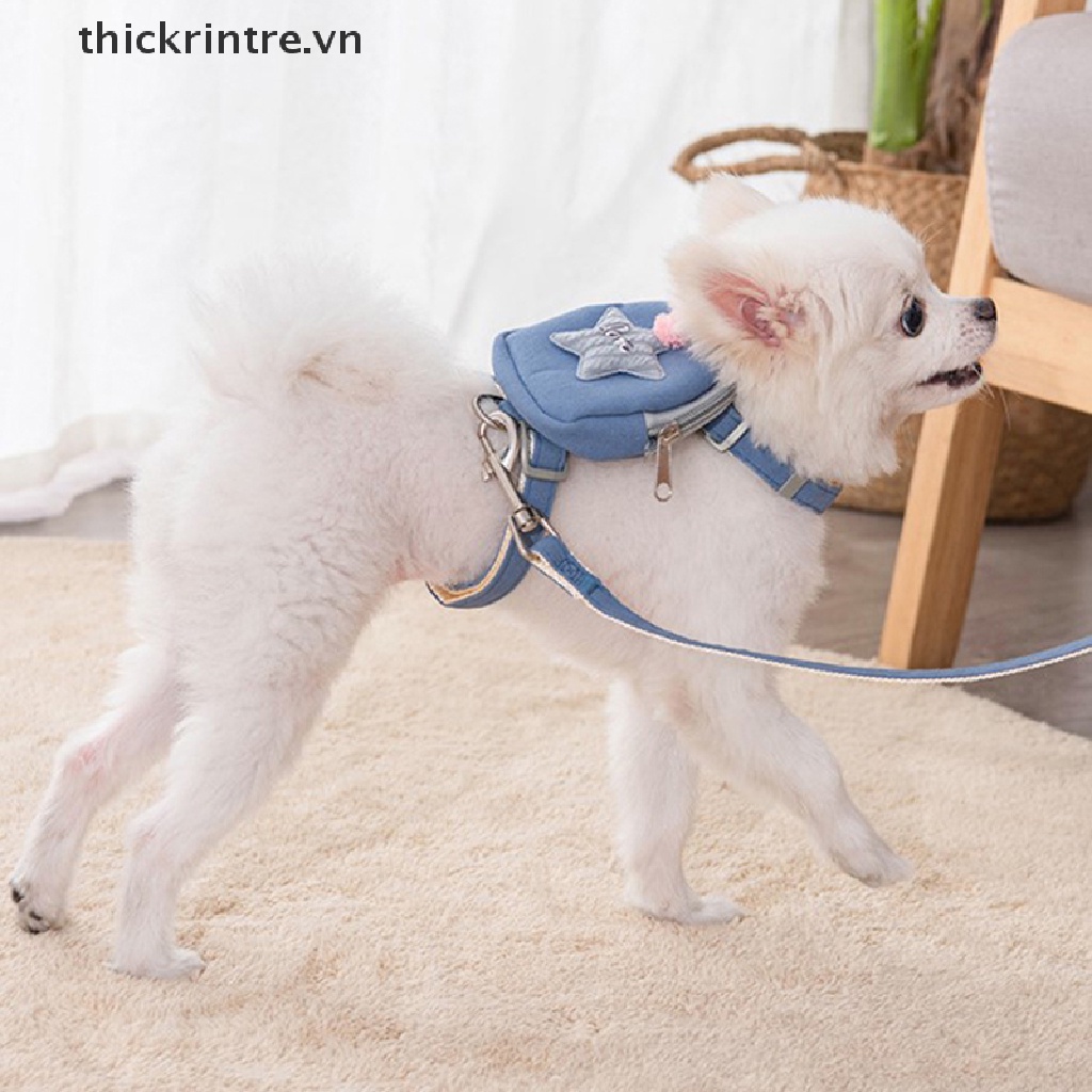 Bộ Dây Dắt Thú Cưng Đi Dạo Kèm Dây Dắt Tiện Dụng