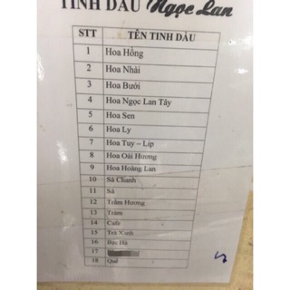 Combo đèn xông tinh dầu size lớn và 5 chai tình dầu + tặng kèm 2 bóng dự phòng Halogen