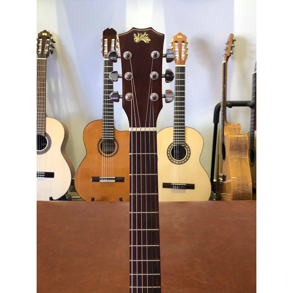 Đàn Guitar Đệm Hát Acoustic HD-179