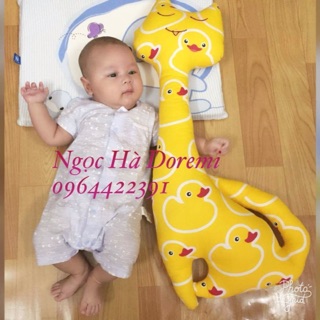 sét 2 gối cá ngựa