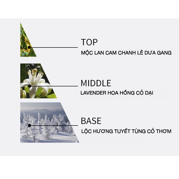 Nước Hoa Nữ VENDOME PAPILLONS Hương Liệu Pháp Cao Cấp 75ml Lưu Hương 12H Tặng Kèm Nước Hoa Sample | BigBuy360 - bigbuy360.vn
