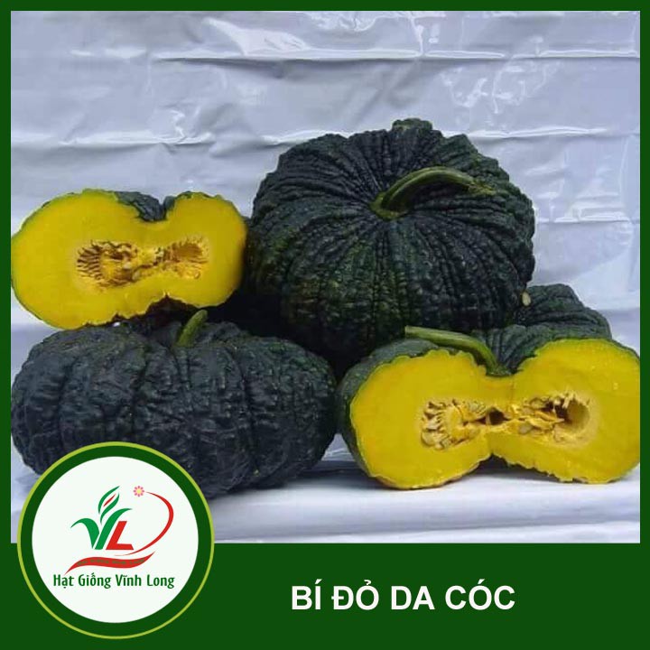 Hạt giống Bí đỏ da cóc RD 565 - 5 hạt