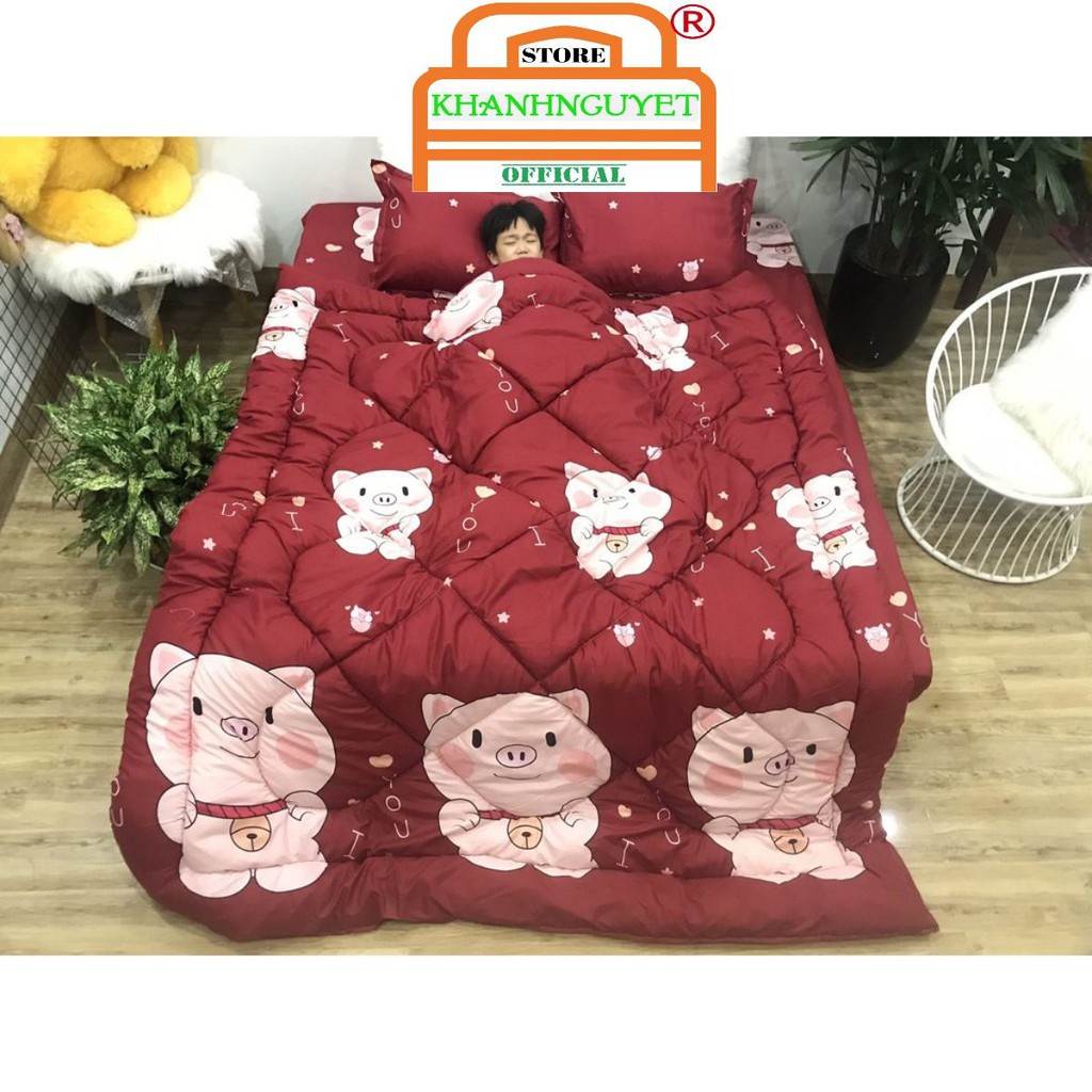 Sale Chăn phao Poly trần bông