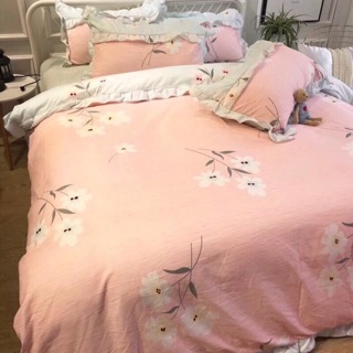 Set chăn ga gối cotton hàn quốc